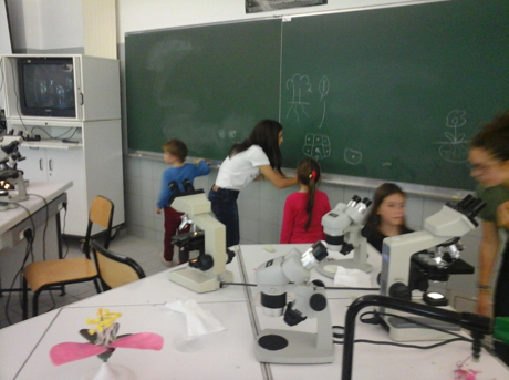 Fête de la Science au Lycée